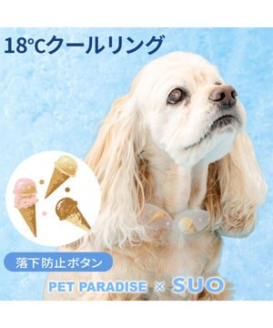  ペットパラダイス １８℃ クールリング ＳＭ 《アイス柄》中型犬