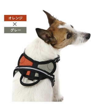  ヘッドインハーネス 【ＳＳ】 オレンジ / ブルー 【小型犬】