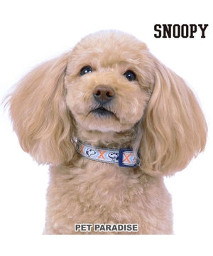 スヌーピーソフト メッシュ スリング【小型犬】 / PET PARADISE スヌーピーソフト メッシュ スリング【小型犬】 / PET PARADISE