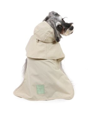  ペットパラダイス ケープ付きレインコート 小型犬