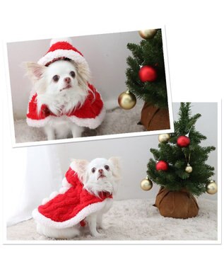 PET PARADISE ペットパラダイス サンタ ポンチョ 小型犬 サンタ