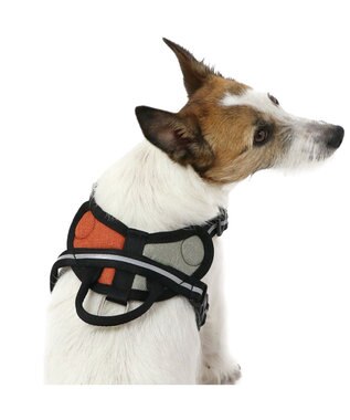 PET PARADISE ヘッドインハーネス 【Ｓ】 オレンジ / ブルー【  小型犬】 オレンジ×グレー