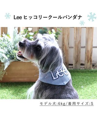 PET PARADISE Ｌｅｅヒッコリークールネック バンダナ 《保冷剤付き》【小型犬】 水色