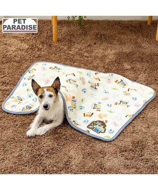 PET PARADISE ディズニー トイ・ストーリー ボア ブランケット 《総柄》