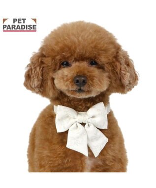 PET PARADISE ペットパラダイス 花柄りぼん 首輪 Ｓ 小型犬