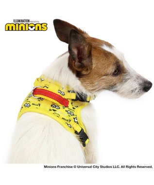 犬 ハーネス ペットパラダイス ミニオン やさしい ハーネス ss s 小型犬 Pet Paradise 通販 雑貨とペット用品の通販サイト マザーガーデン ペットパラダイス 犬 ハーネス ペットパラダイス ミニオン やさしい ハーネス ss s 小型犬 Pet Paradise 通販 雑貨とペット用品の通販サイト マザーガーデン ペットパラダイス