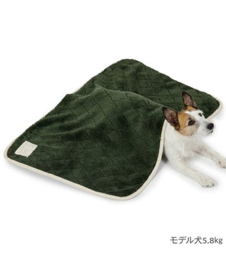 PET PARADISE ペットパラダイス ブランケット 《オニオン柄》 カーキ