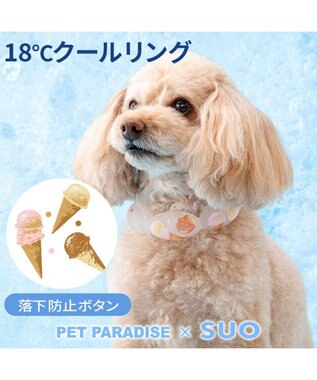 PET PARADISE ペットパラダイス １８℃ クールリング ＳＳ 《アイス柄》