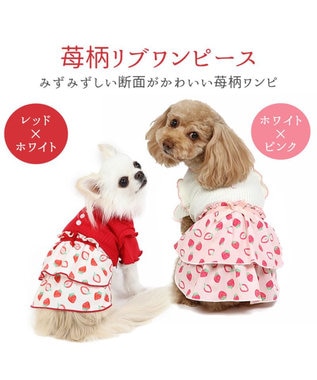 犬の服 犬 ワンピース 【小型犬】 苺柄 リブ ピンク レッド, レット×ホワイト, ４Ｓ