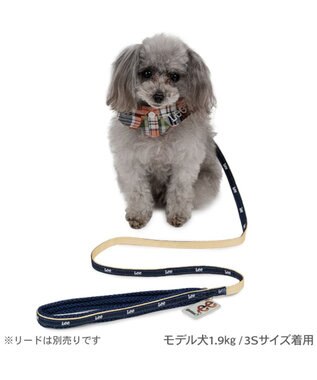 PET PARADISE Lee チェック襟付首輪 SS 小型犬 マドラスチェック