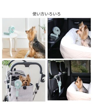 PET PARADISE 〔2026年モデル〕 ペットパラダイス ミスト ハンディファン 《ミントグリーン》 ミントグリーン