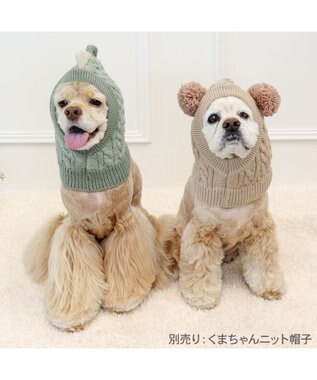 PET PARADISE ペットパラダイス ニット 帽子 《恐竜》 中型犬 大型犬 グリーン