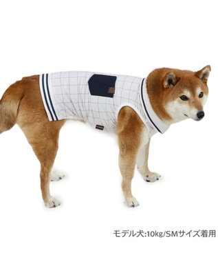 PET PARADISE ペットパラダイス エコメッシュ 襟付き タンクトップ 中型犬 ホワイト×ブラック