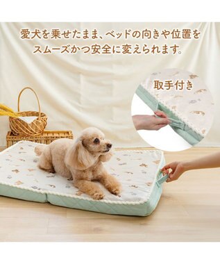 PET PARADISE ペットパラダイス makokoro シニアベッド 《犬柄》 Ｍ -