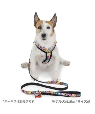 PET PARADISE スヌーピー 75周年 リード 小型犬 ～３S 75周年柄