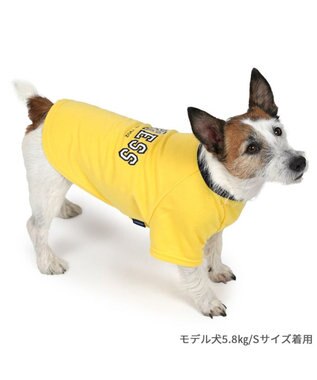 PET PARADISE J.PRESS カレッジ Ｔシャツ 小型犬 イエロー