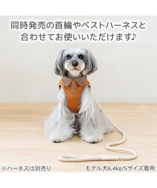 PET PARADISE ペットパラダイス ロープ リード ベージュ　ＳＳ～ＳＭ ベージュ
