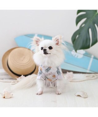 PET PARADISE パイナップル柄 アロハシャツ 【小型犬】 ベージュ