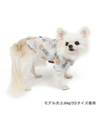 PET PARADISE パイナップル柄 アロハシャツ 【小型犬】 ベージュ