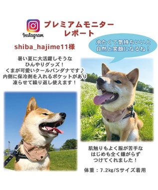 犬 クール バンダナ くま柄 ネッククーラー 〔中型犬〕 しろくま / PET