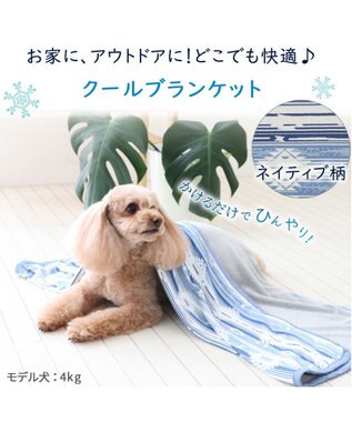 PET PARADISE ペットパラダイス クールブランケット 単品 (90×60cm)  《 苺柄 / ネイティブ柄 》 ネイティブ柄
