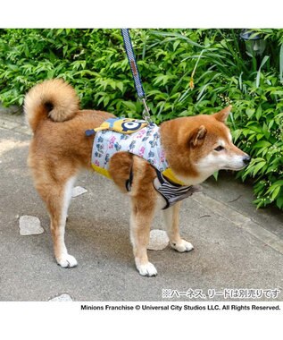 PET PARADISE ミニオン クールベスト 《アイス柄》 中型犬 ライトブルー