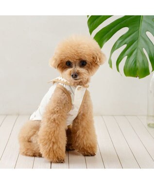 PET PARADISE ペットパラダイス くまちゃん ポケットクール タンクトップ 《アイス柄》 小型犬 ホワイト×ブラウン