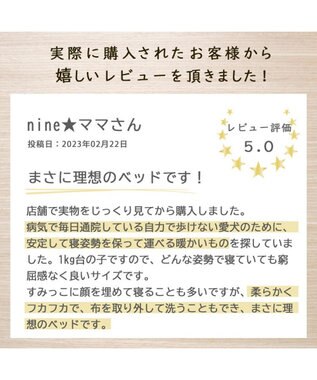 PET PARADISE ペットパラダイス ドライブカドラー シンプル  小型犬 ベージュ