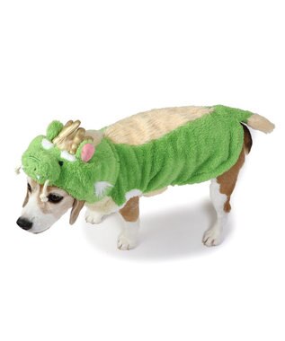 PET PARADISE ペットパラダイス なりきりパーカー 辰 中型犬 大型犬 黄緑