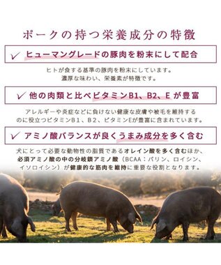 PET PARADISE ≪配合リニューアル≫ ペットパラダイス 国産 ドッグフード フローラ 1kg 0