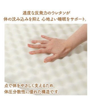 PET PARADISE ペットパラダイス makokoro シニアベッド 《犬柄》 Ｌ -