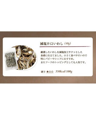 PET PARADISE 【賞味期限が10/1のため 半額】 デリスタイル 塩無添加 片口いわし 40ｇ 0