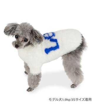 PET PARADISE Lee フェザーニット 《ホワイト》 小型犬 ホワイト