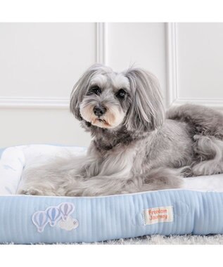 PET PARADISE ペットパラダイス やさしいカドラー  《気球柄》Ｌ ライトブルー