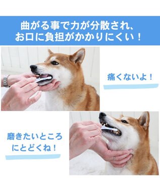 PET PARADISE ペットパラダイス 曲がる歯ブラシ 全犬種用 ホワイト×ブルー