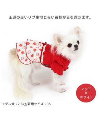 犬の服 犬 ワンピース 【小型犬】 苺柄 リブ ピンク レッド, レット×ホワイト, ４Ｓ