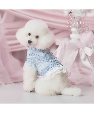 PET PARADISE cherircouture フリルシャツ 《ライトブルー》 小型犬