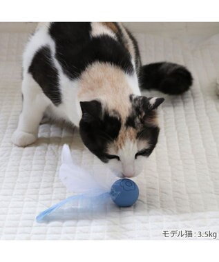 PET PARADISE ペットパラダイス 猫シリコン ボール 《ブルー》 ブルー