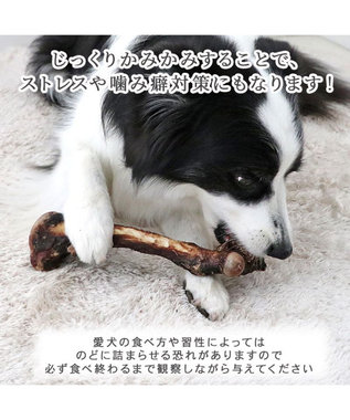 PET PARADISE 鹿 げん骨 デンタルおやつ Lサイズ×1本 純国産 鹿 げん骨
