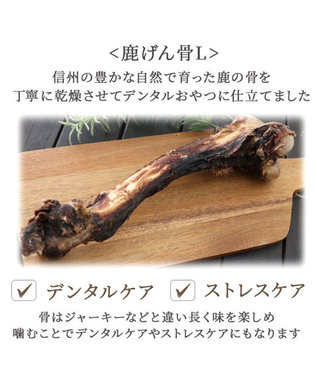 PET PARADISE 鹿 げん骨 デンタルおやつ Lサイズ×1本 純国産 鹿 げん骨