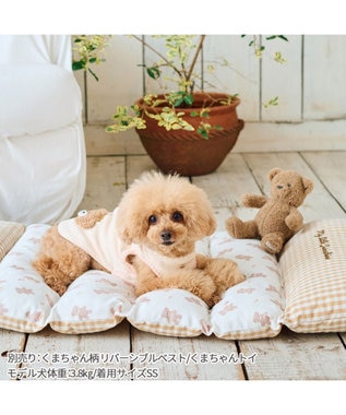 ペットパラダイス ごろ寝マット 《くまちゃん柄》 小型犬, くまちゃん, 未登録