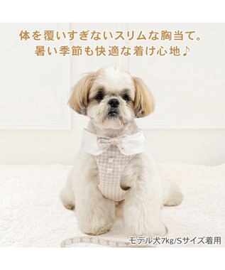 PET PARADISE ペットパラダイス くまちゃん 襟付き スリム ハーネス＆リード Ｓ 小型犬 ブラウン