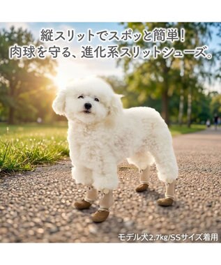 PET PARADISE ペットパラダイス くまちゃん スリットシューズ Ｓ ブラウン