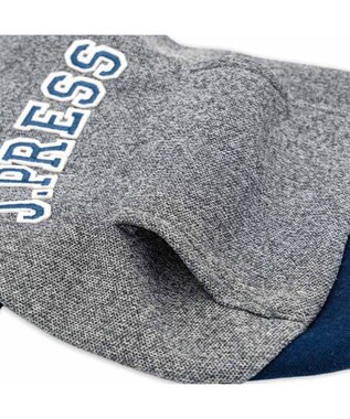 PET PARADISE J.PRESS メッシュ パーカー  小型犬 杢グレー