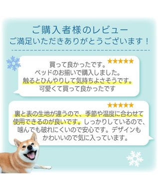PET PARADISE ディズニー ドナルドダック クールロールマット ホワイト×ブルー
