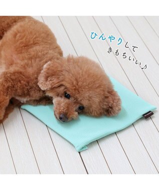 PET PARADISE ペットパラダイス  コンパクトクーラー 2025 ミント