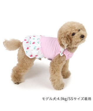 PET PARADISE ペットパラダイス 接触冷感 ワンピース 《苺柄》 小型犬 苺柄