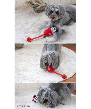 PET PARADISE ディズニー飛び出すロープトイ 《ミッキー/ミニー/プルート》 ミニー