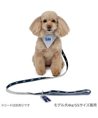 PET PARADISE Lee 両面バンダナ 首輪 Ｓ グレー