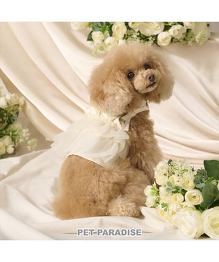 PET PARADISE cherircouture チュールビスチェ 小型犬 ホワイト